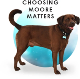 Moore-Dog-new-1